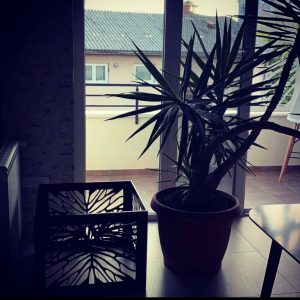 Dekorativne metalne konstrukcije Simetra-9